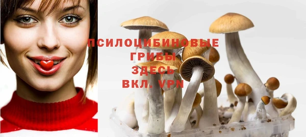 гидра Баксан
