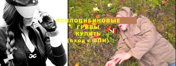гидра Баксан