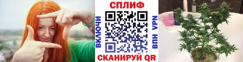 Марихуана Ganja  Белая Холуница 